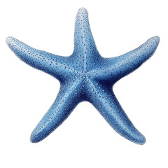 Blue starfish resting on a smooth surface in daylight