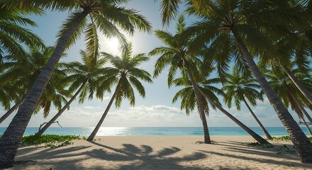 Obraz premium Idyllic Beach Scene with Palm Trees and White Sand