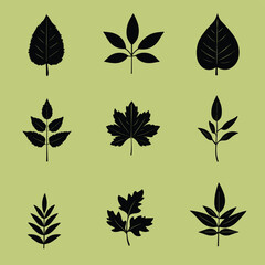 Nine Black Leaf Silhouettes on Green Background