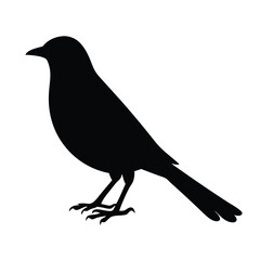 Black Silhouette of a Bird Perched on a White Background a Simple Elegant Design