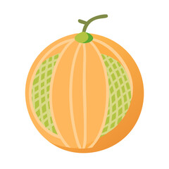  Delicious Whole Cantaloupe Artwork