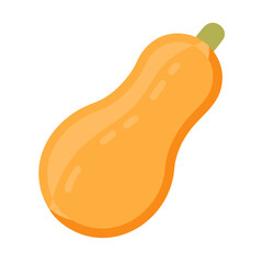  Artistic Whole Butternut Squash Design