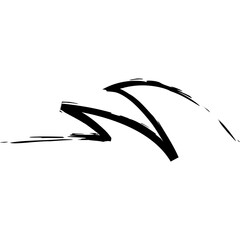 Hand Drawn Brush Line