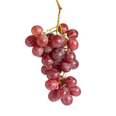 Fototapeta premium Fresh red grapes hanging in cluster, showcasing their vibrant color and juicy texture, perfect for snacking or adding to dishes
