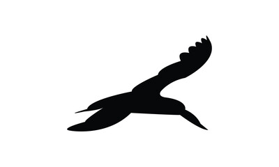 Flying African skimmer bird Silhouette Design  And Vector Illustration. 