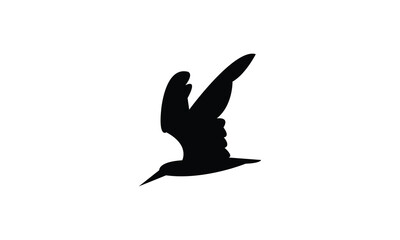 Flying African skimmer bird Silhouette Design  And Vector Illustration. 
