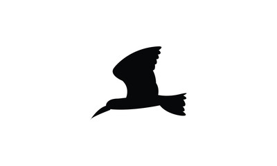 Flying African skimmer bird Silhouette Design  And Vector Illustration. 