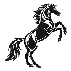 Majestic Stallion Black Horse Rearing on Hind Legs with Flowing Mane and Tail