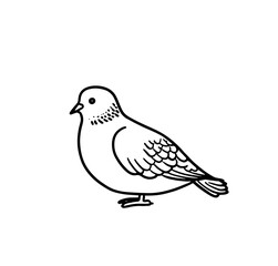Charming hand-drawn vector illustration of a pigeon, perfect for nature-themed projects, educational materials, or artistic designs. Adds whimsical touch to creative work!