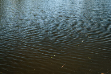 Small ripples on the river