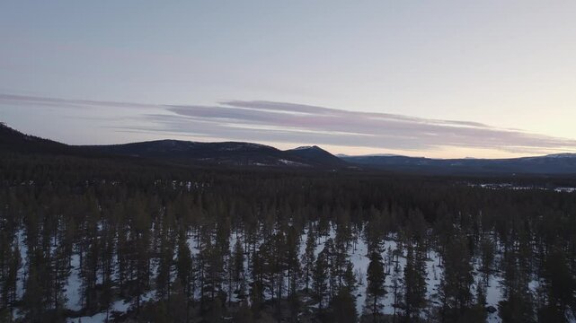 Twilight snow-covered Ringebu mountains and dense pine woodland in Norway