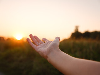 Soft evening light bathes golden field as woman's hand gently moves through tall grass, capturing sense of freedom, nature, and serenity. Warm sunset hues create peaceful, dreamy countryside atmospher