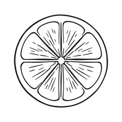 Black and white kaffir lime sketch for herbal design use