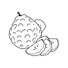 Cherimoya fruit with slices in elegant line art