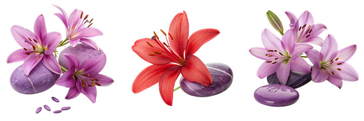 Set of three purple flowers and two eggs on a transparent background