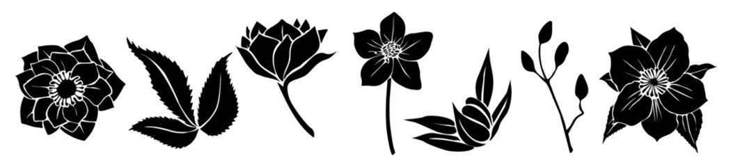 Set of flower and leaves silhouettes. Hand drawn floral design elements, icons, shapes. Wild and garden flowers, leaves black and white outline illustrations isolated on transparent background