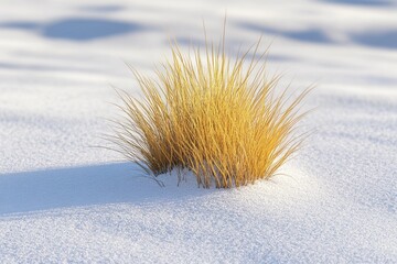 A winter landscape featuring artificial grass tufts that display distinct textures and hues amidst the snow