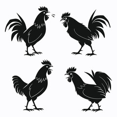 Silhouetted Roosters Group Black of Poultry Animals on White Background