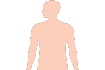 Simplified torso and head outline of a man, isolated on white background.