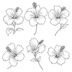 Delicate hibiscus flower outline vector for wall art