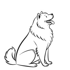 Line Art Samoyed Dog Sitting, Tongue Out, Fluffy Tail, Friendly Expression, Black Outline