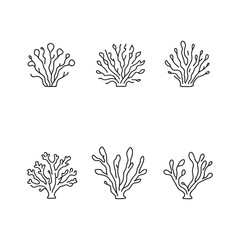 detailed coral line art drawing for ocean designs