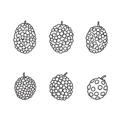 Detailed line art illustration of fresh mulberries on stem