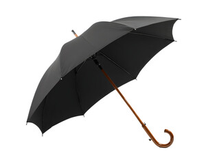 Classic Black Umbrella with Wooden Handle - Rain Accessory Isolated