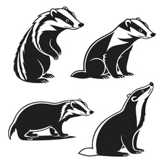 Fototapeta premium Four Black and White Badge, Badger Isolated Illustrations in Different Poses on White
