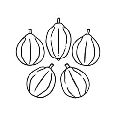 Detailed line art vector of garcinia atroviridis fruit fresh look
