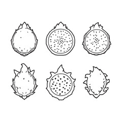 Dragonfruit line art drawing with intricate details