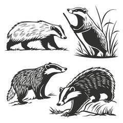 Badger Silhouettes Set Wild Animal Illustrations Forest Wildlife Black and White Design