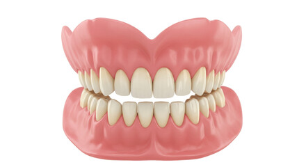 Isolated Complete Set of False Teeth Dentures