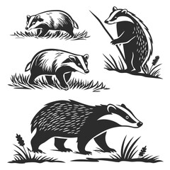 Monochrome Badger Set Silhouettes Walking, Standing Among Grass and Foliage Wildlife © Shipon