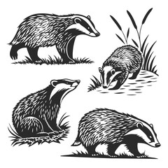 Obraz premium Stylized Black and White Badger Set Four Badgers in Different Poses, Isolated