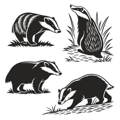 Black And White Badgers Four Badgers in Various Poses, Vector, Wildlife