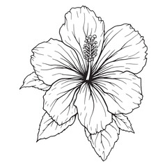 Elegant botanical hibiscus vector drawing in red color