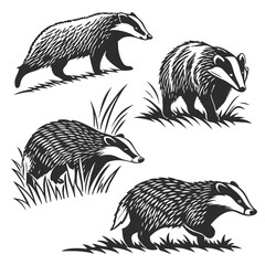 Badger Set Silhouette Style, Multiple Walking Poses in Grass, Monochrome Animal