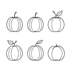 Elegant Chinese quince sketch style vector artwork