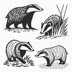 Four Black and White Badger Silhouettes in Natural Settings, Forest Animals, Isolated