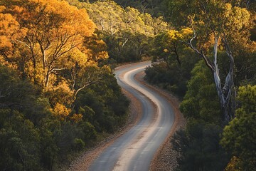 Fototapeta premium Scenic Road Covered In Autumn Leaves Winding Through Forest