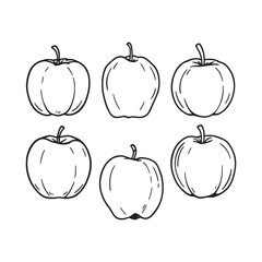 elegant custard apple line art design for modern graphics