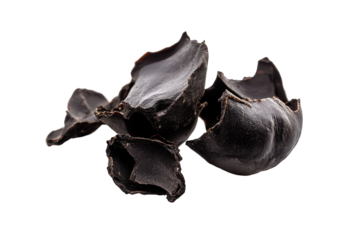 Black resinous Shilajit pieces isolated on white background for herbal remedy or holistic health branding