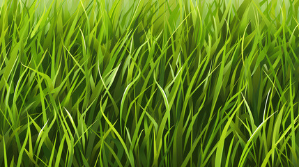 Obraz premium Green grass field
