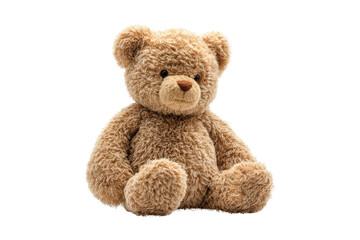 Obraz premium Indoor toy photography teddy bear close-up