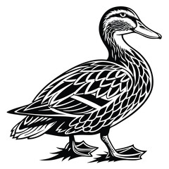 Black and White Duck Line Art, Standing Bird Illustration, Wildlife Animal Design