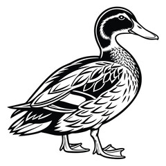 Duck Standing Side View, Black and White Line Art, Bird, Waterfowl, Minimalist