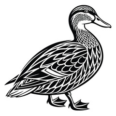 Duck Stylish Black and White Line Art, Detailed Feather Pattern