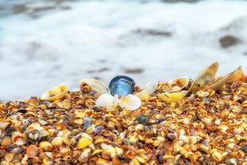 The pearl foam of the sea washes the shells of bivalves. The goddess of love was born from such gentle foam, and the anadara shell or skapharka means the arch of the ship on which Venus sailed