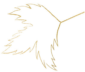 Hand drawn tiny garden leaves, golden outlines isolated illustration, wedding stationery element